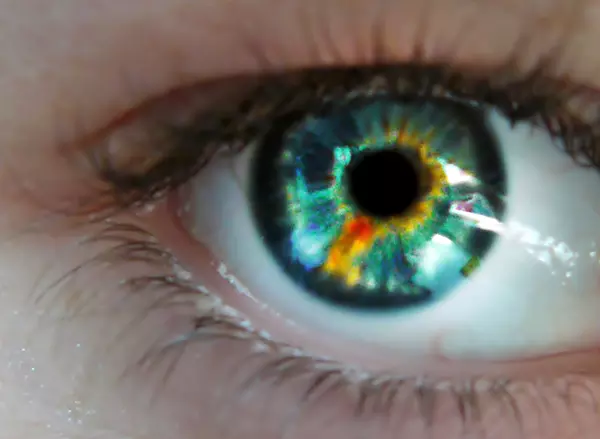 Die vier Elemente